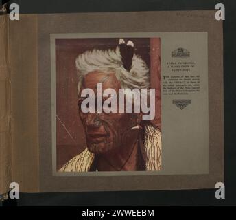 Portrait d'Atama Paparanga, un chef maori en Nouvelle-Zélande, montrant des tatouages faciaux moko tribaux et des plumes Huia indiquant la chefferie et le rang. Banque D'Images