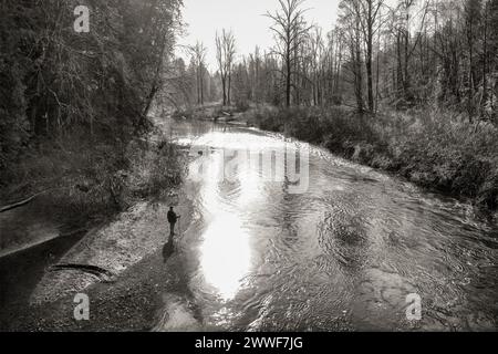 Photo monochrome noir et blanc d'une personne avec son chien sur la rive de la rivière Koksilah dans le parc régional Bright Angel. Banque D'Images
