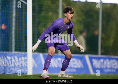 MURCIE, ESPAGNE - 22 MARS : le gardien Djordije Medenica des moins de 18 ans de la République tchèque et Getafe CF en action lors du match amical international masculin des moins de 18 ans entre la Tchéquie et les moins de 18 ans des pays-Bas au stade Pintar Arena, le 22 mars 2024 à San Pedro del Pinatar, Murcie, Espagne. (Photo de Francisco Macia/photos Players images) Banque D'Images