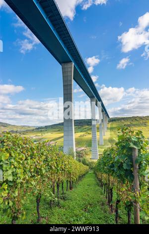 Hochmoselbrücke Pont de la haute Moselle, rivière Moselle Moselle, vignoble Zeltingen-Rachtig Moselle Rheinland-Pfalz, Rhénanie-Palat Allemagne Banque D'Images