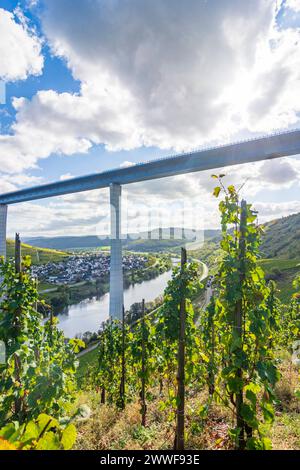 Hochmoselbrücke Pont de la haute Moselle, rivière Moselle Moselle, vignoble, village Zeltingen-Rachtig Zeltingen-Rachtig Moselle Rheinland-Pfalz, Rhénanie-Palat Banque D'Images