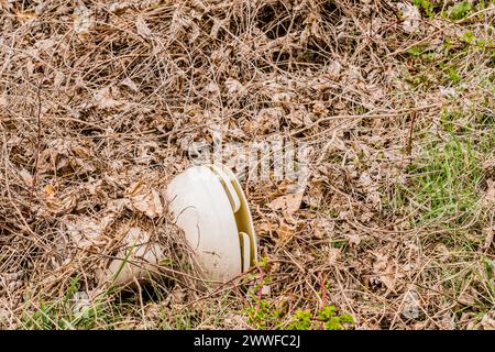 Un casque blanc jeté vu parmi les feuilles tombées et les débris naturels, en Corée du Sud Banque D'Images