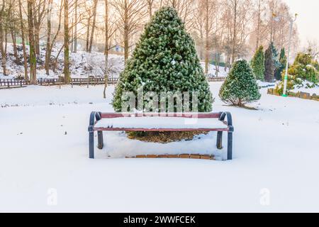 Paysage hivernal de banc de parc en bois devant un arbre vibrant à feuilles persistantes couvert de neige dans un parc public couvert de neige à Daejeon, Corée du Sud Banque D'Images