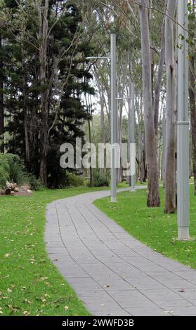 Chemin et arbres aux jardins botaniques de Tondoon à Gladstone, Queensland, Australie Banque D'Images