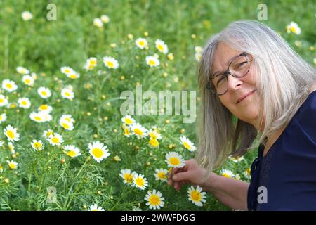 Femme mature aux cheveux blancs souriante cueillant des marguerites sauvages dans le champ Banque D'Images