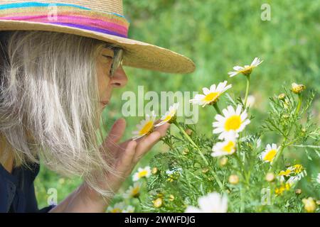 Femme mature avec les cheveux blancs et chapeau vu de profil sentant une belle Marguerite dans ses mains avec un pré avec des fleurs en arrière-plan Banque D'Images