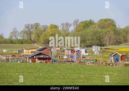 Jardin d'allotissement avec des hangars dans la campagne sur une belle journée de printemps ensoleillée, Suède Banque D'Images