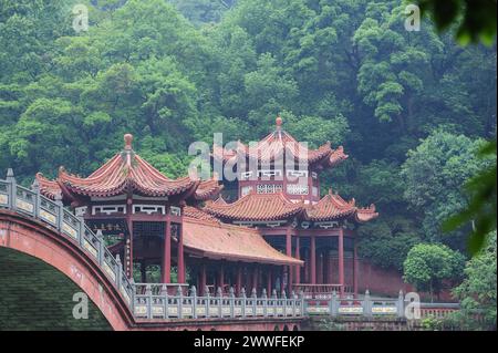 Détail du pont de Leshan, voyage, sichuan, chine Banque D'Images