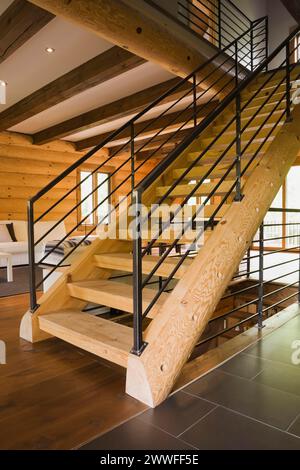 Escaliers en bois avec balustrades en fer forgé noir et canapés rembourrés de tissu de coton blanc dans le salon à l'intérieur de la maison en bois de style contemporain Banque D'Images