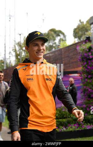 MELBOURNE, AUSTRALIE 24 mars 2024. Photo:81 Oscar Piastri (AUS) McLaren Formula 1 Team dans le paddock au Rolex Australian Grand Prix 2024 de la FIA Formula 1 3ème manche du 22 au 24 mars sur le Albert Park Street circuit, Melbourne, Australie. Crédit : Karl Phillipson/Alamy Live News Banque D'Images