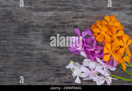 Orchidées oranges, roses et blanches sur une surface en bois Banque D'Images