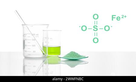 Sulfate ferreux dans un verre de montre chimique avec structure chimique placer à côté du sulfate de fer (II) liquide dans le bécher. Vue latérale Banque D'Images