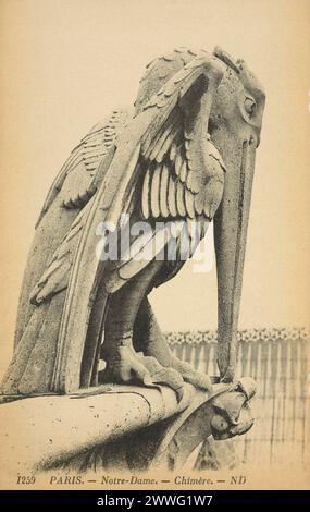 Carte postale noire et blanche d'une statue chimère grotesque sur le toit de la cathédrale notre-Dame de Paris, France, publiée en 1906 Banque D'Images