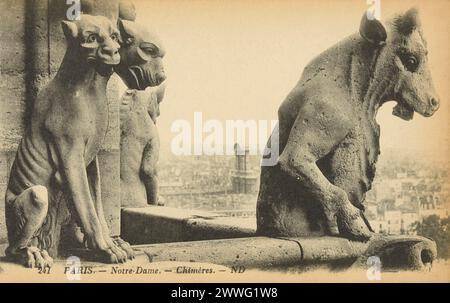 Carte postale noire et blanche de statues grotesques de chimères (chimères) sur le toit de la cathédrale notre-Dame de Paris, France, publiée en 1906 Banque D'Images
