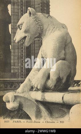Carte postale noire et blanche d'une statue chimère grotesque sur le toit de la cathédrale notre-Dame de Paris, France, publiée en 1906 Banque D'Images