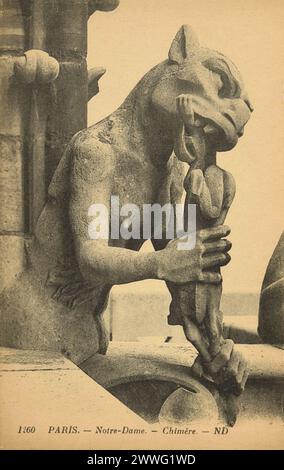 Carte postale noire et blanche d'une statue chimère grotesque sur le toit de la cathédrale notre-Dame de Paris, France, publiée en 1906 Banque D'Images