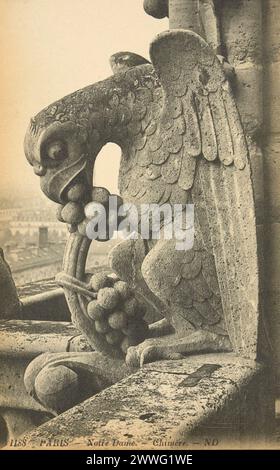 Carte postale noire et blanche d'une statue chimère grotesque sur le toit de la cathédrale notre-Dame de Paris, France, publiée en 1906 Banque D'Images