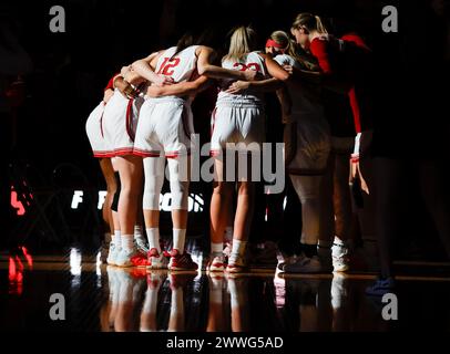 Bloomington, États-Unis. 23 mars 2024. L'équipe féminine de basket-ball de l'Université de l'Indiana se caucus avant un match de tournoi de basket-ball féminin de la NCAA contre Fairfield au Simon Skjodt Assembly Hall. Indiana a gagné 89-56. (Photo de Jeremy Hogan/SOPA images/Sipa USA) crédit : Sipa USA/Alamy Live News Banque D'Images