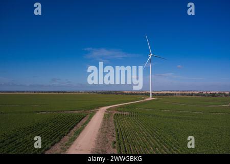 Parc éolien de Dulacca sur la Warrego Highway Queensland Australie Banque D'Images