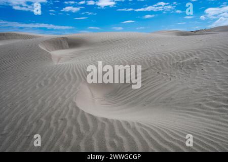 Dunes de sable, Foxton, Manawatu, Île du Nord, Nouvelle-Zélande Banque D'Images