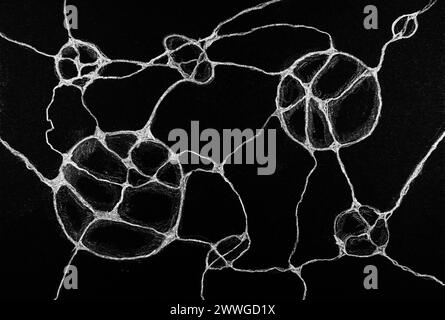 Sphères neurologiques blanches dessinées à la main sur fond noir. La technique de tamponnage près des bords donne un effet de flou dû à la modification de la surface ro Banque D'Images