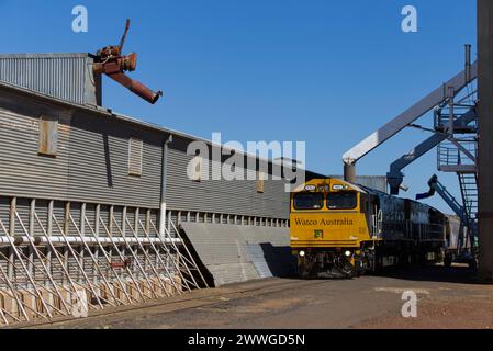 Watco train WRA005 déchargeant du blé H2 de silos à grain Corp Roma West Depot Roma Queensland Australie Banque D'Images