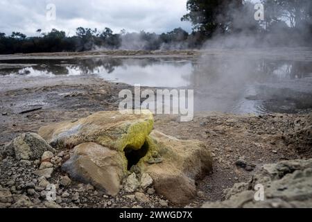 Évent naturel de vapeur chaude dans la zone géothermique, Rotorua, Île du Nord, Nouvelle-Zélande Banque D'Images