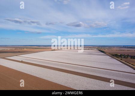 Aérien de champs de coton commerciaux de grande superficie récoltés près de Dalby Queensland Australie Banque D'Images