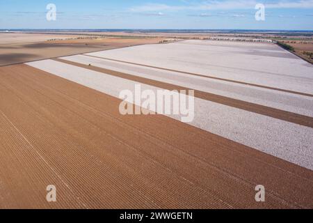 Aérien de champs de coton commerciaux de grande superficie récoltés près de Dalby Queensland Australie Banque D'Images