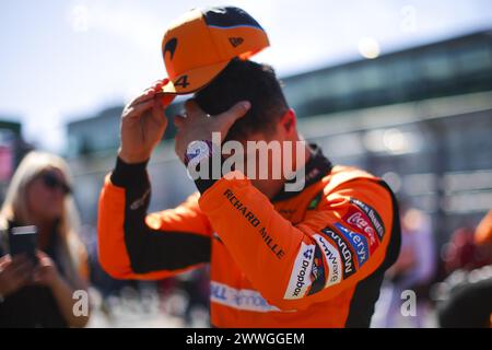 NORRIS Lando (gbr), McLaren F1 Team MCL38, portrait lors du Rolex Australian Grand Prix de formule 1 2024, 3e manche du Championnat du monde de formule 1 2024 du 22 au 24 mars 2024 sur le circuit Albert Park, à Melbourne, Australie Banque D'Images