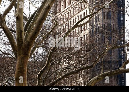 New York, États-Unis. 12 février 2024. Le Flatiron Building derrière quelques arbres sur la Cinquième Avenue, Manhattan, New York, États-Unis. Crédit : Nidpor/Alamy Live News Banque D'Images