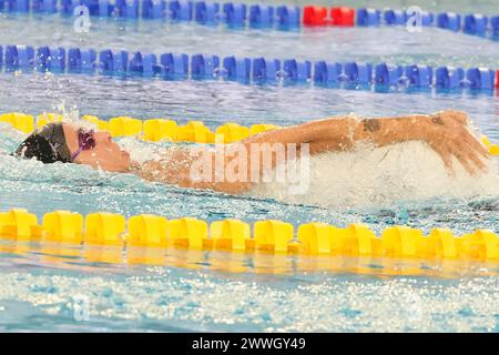 Mary-Sophie Harvey de France, 400 M Medley féminin lors du Giant Open 2024, épreuve de natation le 23 mars 2024 au Dôme de Saint-Germain-en-Laye, France Banque D'Images