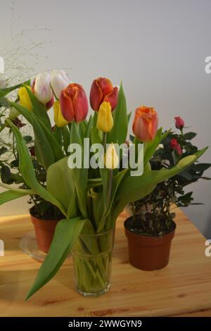 Bouquets lumineux et colorés de différentes fleurs de printemps. Beaux bouquets en bocaux, verres en verre, bouteilles posées sur une table en bois jaune. Banque D'Images