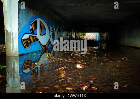 Graffiti audacieux sous un pont créant un contraste saisissant avec le reflet de l'eau sereine. Banque D'Images