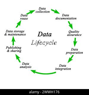 Neuf composants du cycle de vie des données Banque D'Images