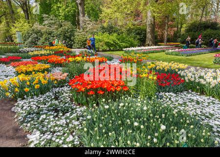Exposition de parterres de fleurs et de bordures vibrantes, lumineuses et colorées aux jardins de Keukenhof, lisse, Hollande au printemps avec tulipes et jonquilles en fleurs Banque D'Images