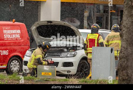 240324PKWBrand News ID : en 2024-03-24-02 PKW Brand unter Tankstelle technischer Defekt am PKW sorgt für Feuerwehreinsatz Stollberg. Einsatzkräfte der Feuerwehr sind am Sonntagmittag zu einem PKW Brand an einer Tankstelle ausgerückt. Der Brand ereignete sich gegen 11:00 Uhr an einer Tankstelle in der Auer Straße. während des Tankvorganges bemerkte der Fahrer, Rauch aus dem Motorraum seines VW. Der Fahrer fuhr seinen Wagen schnell von der Zapfsäule weg und löschte den Brand am PKW mit einem Feuerlöscher. DAS TankstellenPersonal unterstützte ihn dabei. BEI Ankunft der Kameraden, War der Brand im Banque D'Images