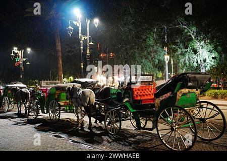 Calèches à Jemaa el-Fnaa dans la ville africaine DE MARRAKECH au MAROC en 2023 chaude journée d'hiver ensoleillée le soir du janvier. Banque D'Images