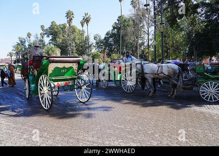 MARRAKECH, MAROC - 28 JANVIER 2023 : rangée de calèches à Jemaa el-Fnaa dans une ville africaine, ciel bleu clair dans une chaude journée d'hiver ensoleillée. Banque D'Images