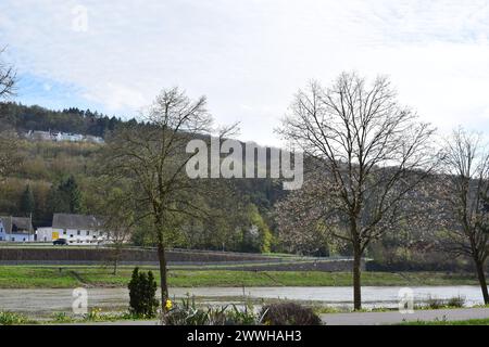 Rive de la Moselle au début du printemps Banque D'Images