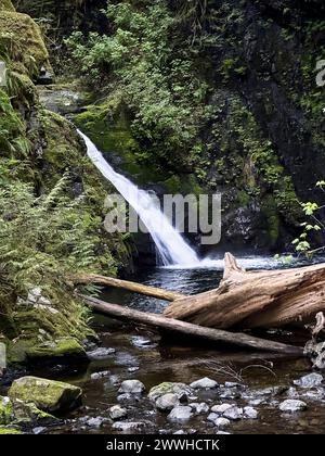 De grandes bûches bloquent le lit du ruisseau en face d'une belle chute d'eau entourée de foiliage vert luxuriant. Banque D'Images
