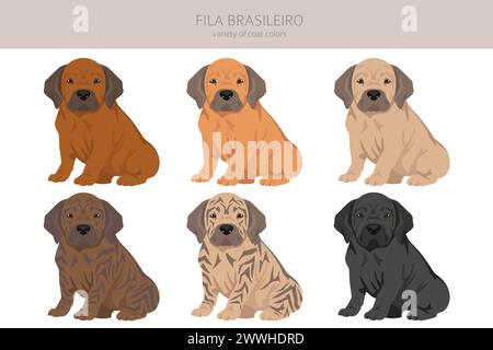 Clipart chiot Fila Brasileiro. Différentes poses, couleurs de manteau définies. Illustration vectorielle Illustration de Vecteur