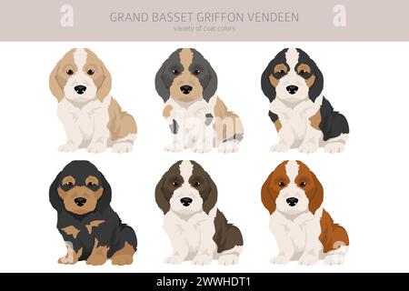 Grand basset griffon vendeen chiot clipart. Différentes poses, couleurs de manteau définies. Illustration vectorielle Illustration de Vecteur