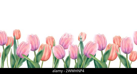 Bannière sans couture horizontale aquarelle faite de pêche délicate et tulipes roses. L'illustration est dessinée à la main sur un fond blanc. Primeurs printanières, Banque D'Images