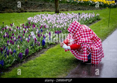 LISSE - touristes sous la pluie dans le Keukenhof. ANP ROBIN UTRECHT pays-bas Out - belgique Out Banque D'Images