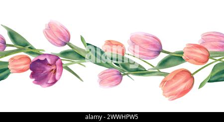 Fleurs délicates, tulipes roses et pêche. Bordure florale sans couture. Une illustration d'aquarelle dessinée à la main. Enregistrez la date ou la carte de vœux pour le menu, PA Banque D'Images