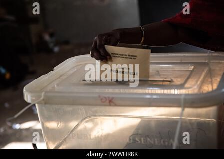 Dakar, Sénégal. 24 mars 2024. Nicolas Remene/le Pictorium - Election présidentielle au Sénégal. 24 mars 2024. Sénégal/Sénégal/Dakar - ouverture des bureaux de vote à Dakar le 24 mars 2024 pour le 1er tour de l'élection présidentielle sénégalaise. Crédit : LE PICTORIUM/Alamy Live News crédit : LE PICTORIUM/Alamy Live News Banque D'Images