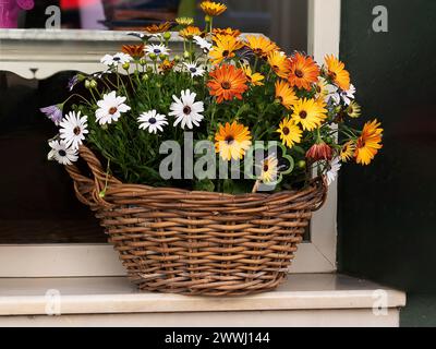 Panier avec des fleurs pour une célébration Banque D'Images