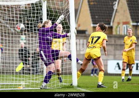 Londres, Royaume-Uni. 24 mars 2024. But marqué lors du match de premier League Womens Regional de Londres et du Sud-est entre Dulwich Hamlet et Sutton United à Champion Hill. Crédit : Liam Asman/Alamy Live News Banque D'Images