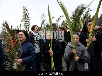 Jérusalem-est, Israël. 24 mars 2024. Les chrétiens agitent des branches d'oliviers et de palmiers lors de la traditionnelle procession du dimanche des Rameaux sur le mont. Des oliviers, surplombant la vieille ville de Jérusalem, Jérusalem-est, le dimanche 24 mars 2024. Photo de Debbie Hill/ crédit : UPI/Alamy Live News Banque D'Images